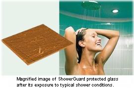 ShowerGuard glass